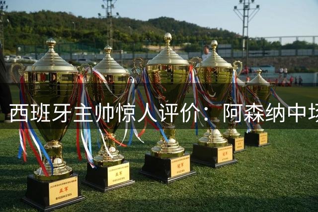 西班牙主帅惊人评价：阿森纳中场苏比门迪实力仅次于罗德里