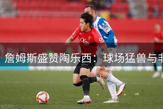 詹姆斯盛赞陶乐西：球场猛兽与非凡人生的完美结合
